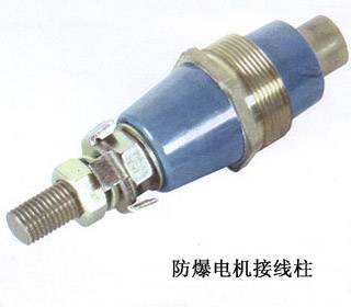 防爆电机接线柱 (1)